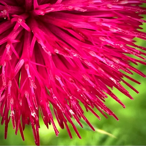 Meet your Posher, June - Picture 4 of 15